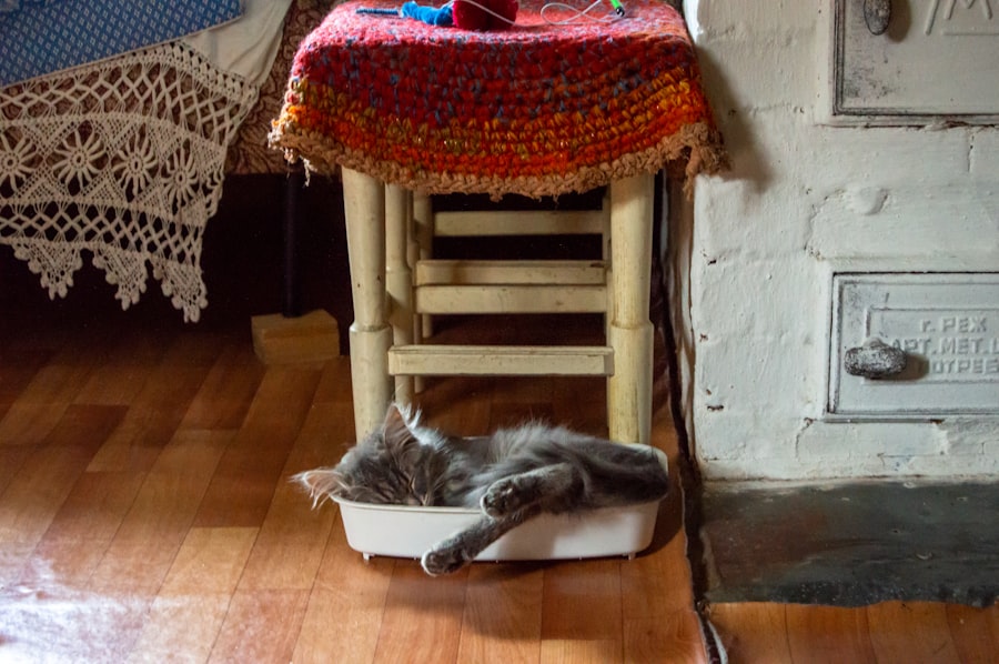 Self Cleaning litter boxes
