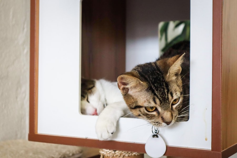 Photo Self Cleaning litter boxes