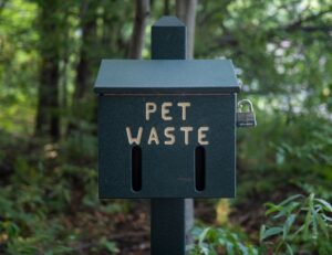 Photo biodegradable poop bags